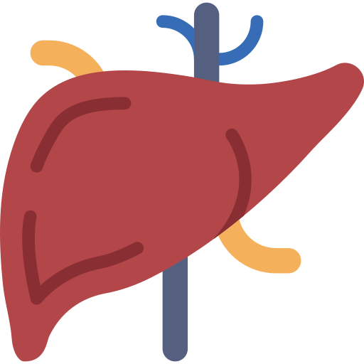 liver Department